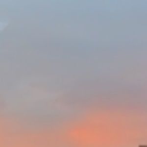 Meet your Posher, Abbey